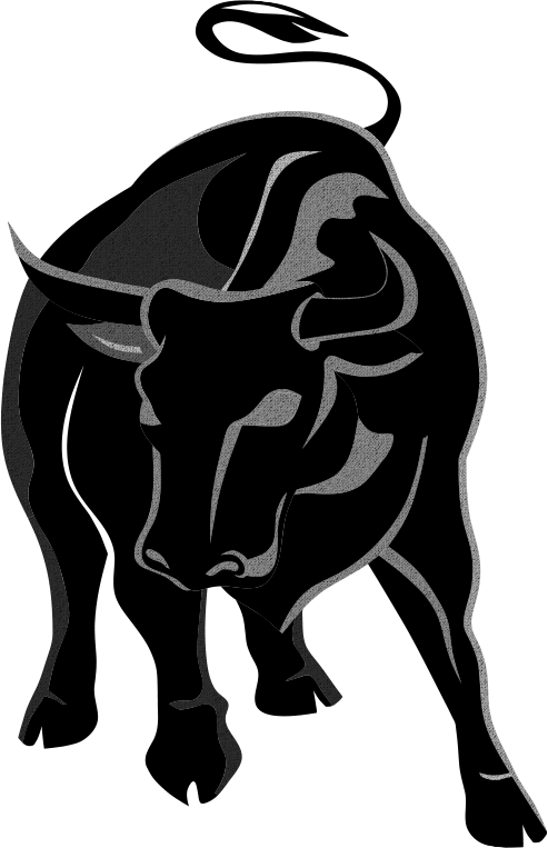 bull-image